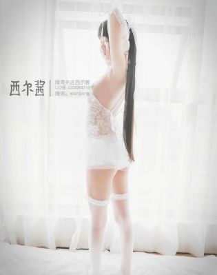 精灵探访记樱花动漫_蓝光完整在线观看